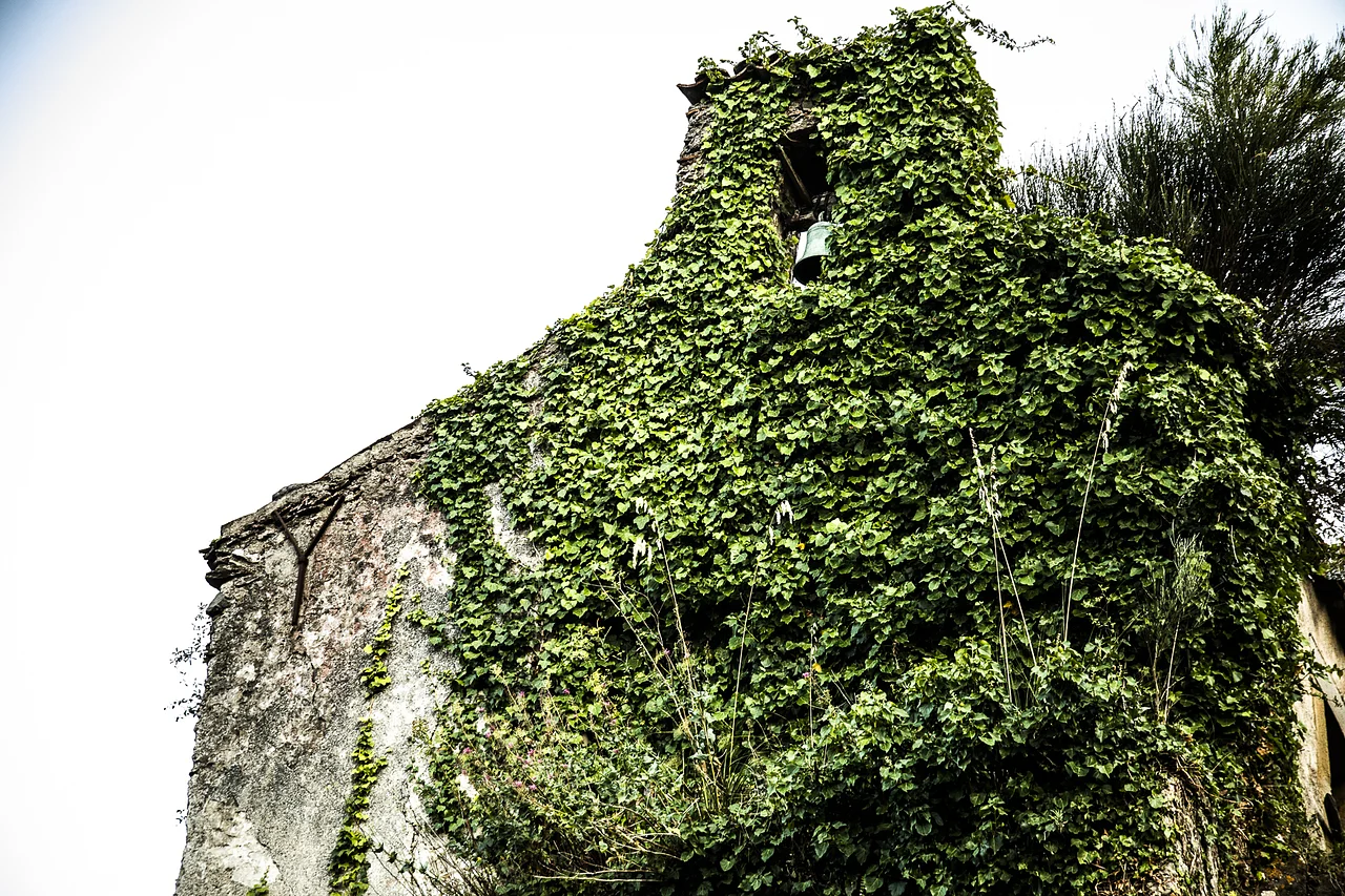 Chiesa di Santa Emerenziana - Tortorici — Tortorici · Ttattà Go